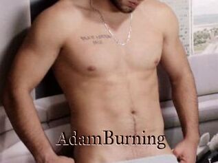 AdamBurning
