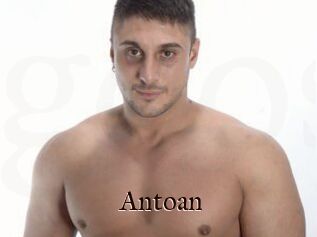 Antoan