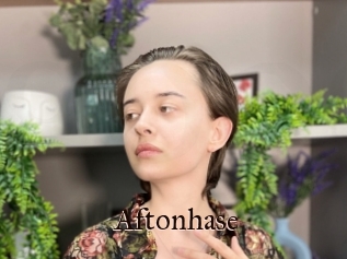 Aftonhase