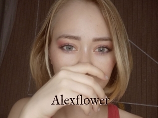 Alexflower