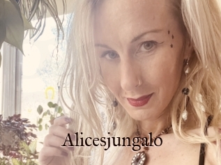 Alicesjungalo