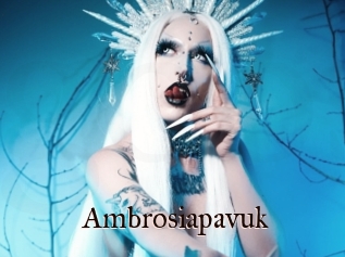 Ambrosiapavuk