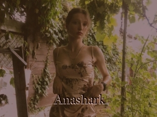 Anashark