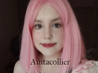 Anitacollier