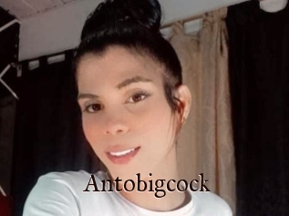 Antobigcock