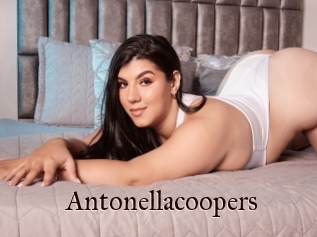 Antonellacoopers