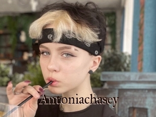 Antoniachasey