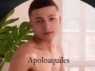 Apoloaquiles