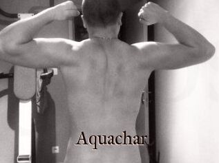 Aquachar