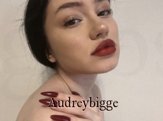 Audreybigge