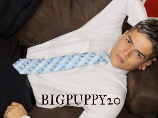 BIGPUPPY20