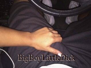 BigBoyLittleDick