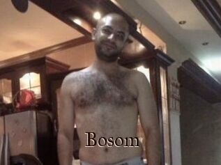 Bosom