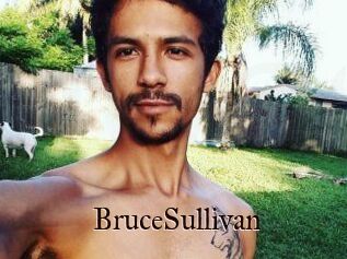 Bruce_Sullivan