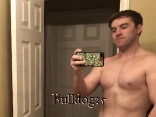Bulldog35