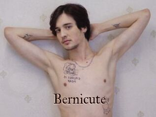 Bernicute