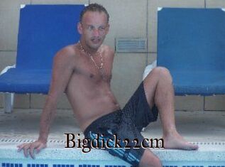 Bigdick22cm