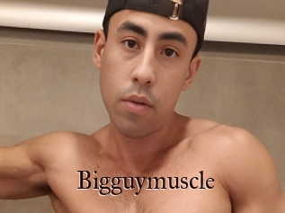 Bigguymuscle