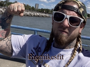 Bigmikesfit