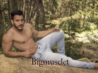 Bigmusclet