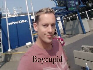 Boycupid