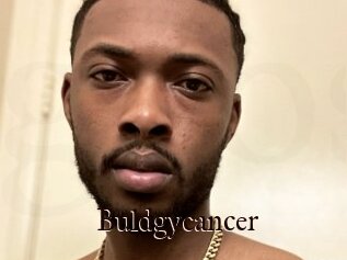 Buldgycancer