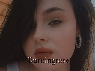 Burningrose