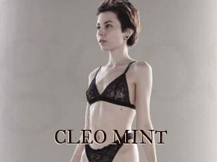 CLEO_MINT