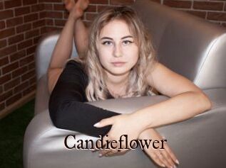 Candieflower