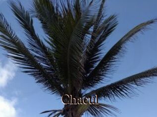 Chacul