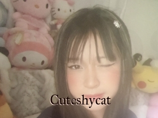 Cuteshycat