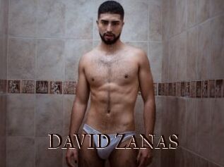 DAVID_ZANAS