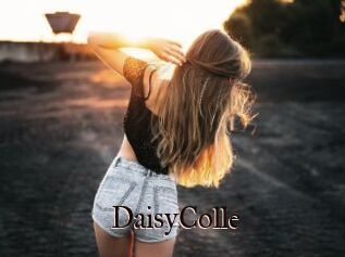 DaisyColle