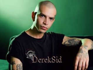 DerekSid