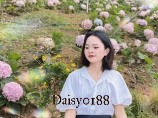 Daisy0188