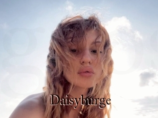 Daisyburge