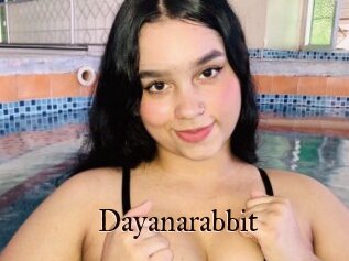 Dayanarabbit