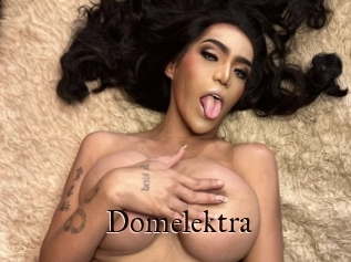 Domelektra