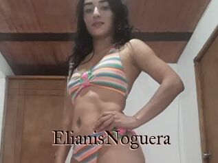 ElianisNoguera