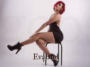 EvaBird