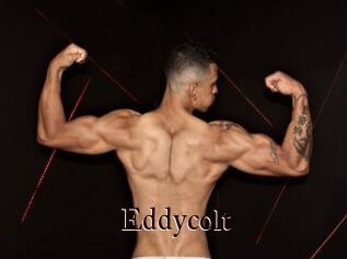 Eddycolt