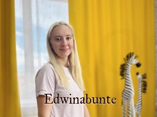 Edwinabunte