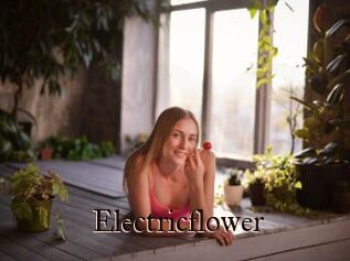 Electricflower