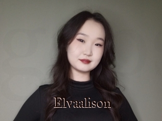 Elvaalison