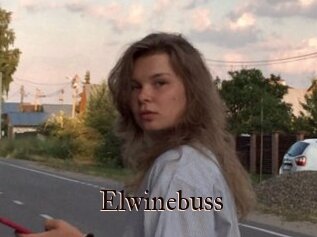 Elwinebuss