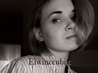 Elwinecubitt