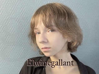 Elwinegallant