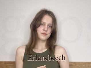 Erlenebeech