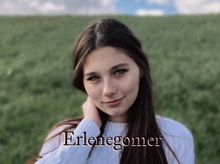 Erlenegomer