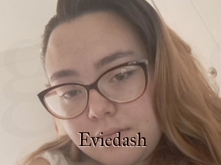Eviedash